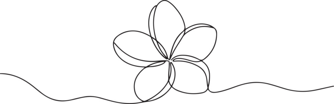 Plumeria flower continuous one line drawing. Frangipani linear blossom. One continuous line drawing of Plumeria flower. one line Icon drawing