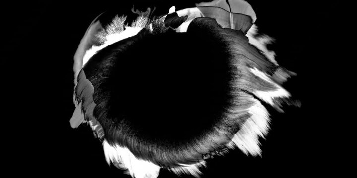 Swirling smoke or ink fluid transition effect. Steam, dust explosion. Black on white background