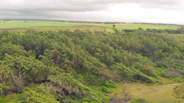 La Roche Qui Pleure, Mauritius. Drone point of view on a cloudy day