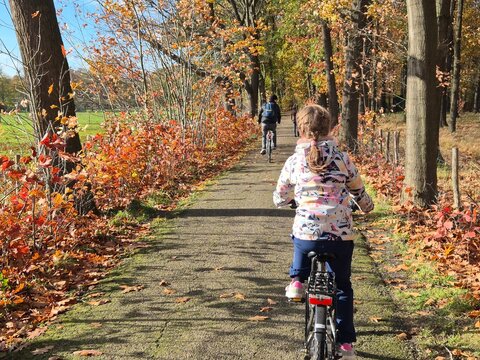 Family enjoying bike ride through vibrant fall woodland trail