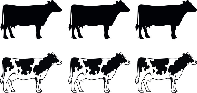 Six Cow Silhouettes and Spotted Holstein Cattle Vector Icons Set Isolated on White Background for Dairy Farming and Livestock Design