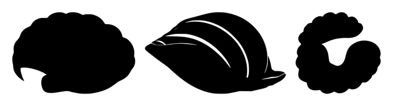 Clam shell silhouette set with single black outline form featuring marine life, beach, water, shell illustration with sea and ocean