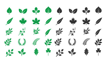 Fototapeta premium set of leaf logos in various styles