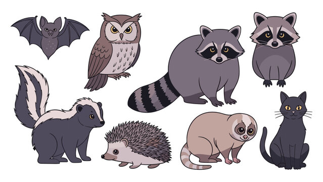 Nocturnal animals vector illustration set with owl bat raccoon skunk hedgehog loris cat wildlife cartoon
