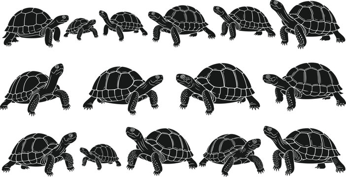 Large collection of tortoise silhouette vector illustrations in various poses isolated on white background for wildlife nature and reptile concepts