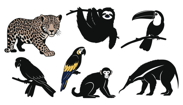 Rainforest animals vector cartoon set with jaguar sloth toucan parrot macaw monkey anteater tropical wildlife illustration