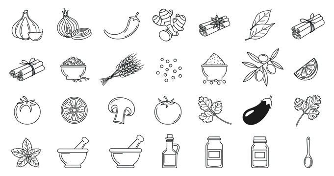 Spices and herbs set with kitchen ingredients garlic ginger cinnamon outline organic cooking vector
