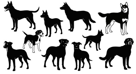 Collection of various dog breeds in silhouette and outline form. © Hiroto