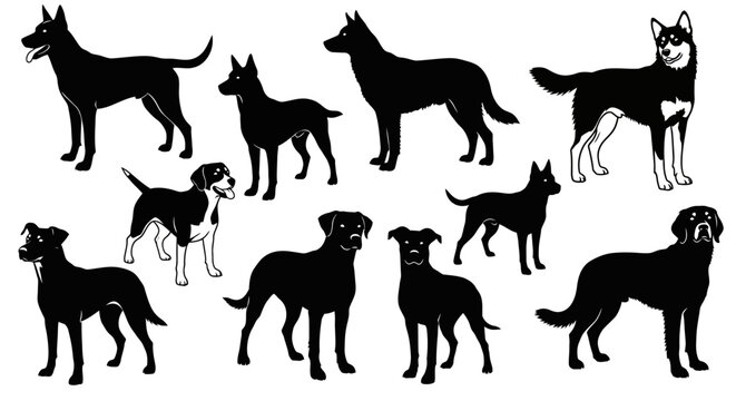 Collection of various dog breeds in silhouette and outline form.