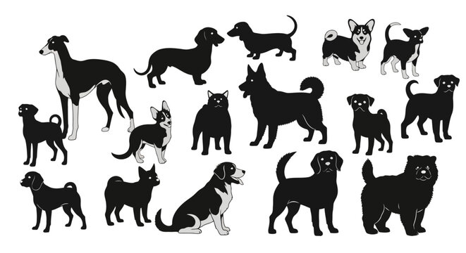 Collection of various dog breeds silhouettes, different sizes and shapes, standing and sitting poses, isolated on white background.