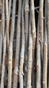 Vertical composition of rustic wooden fence made of thin branches with stacked firewood behind, camera moving sideways, natural texture and countryside setting, concept of rural life and handmade stru