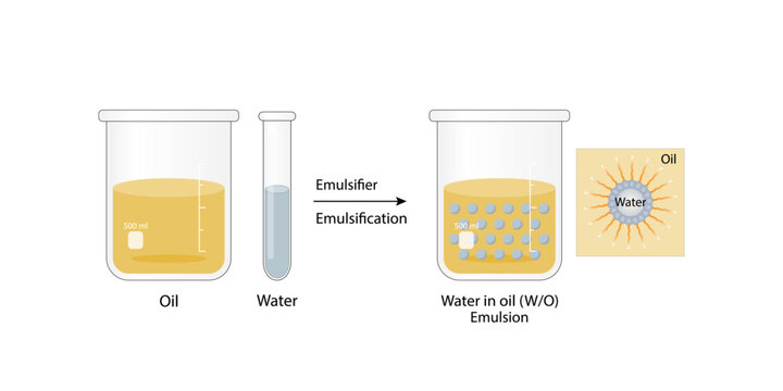 Emulsion, a mixture of two immiscible liquids (oil and water) in beakers, Emulsion oil in water, Immiscible liquids. Emulsification, emulsifier. isolated on white background. Vector illustration.
