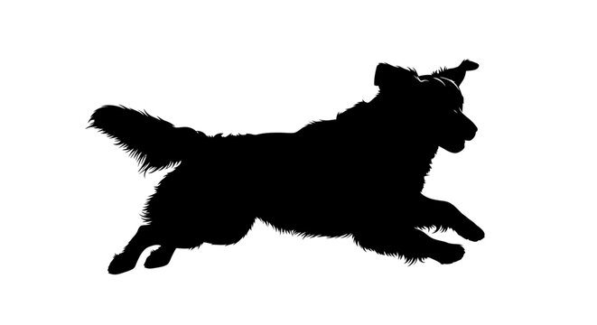 Silhouette of a playful dog running and jumping with joy.