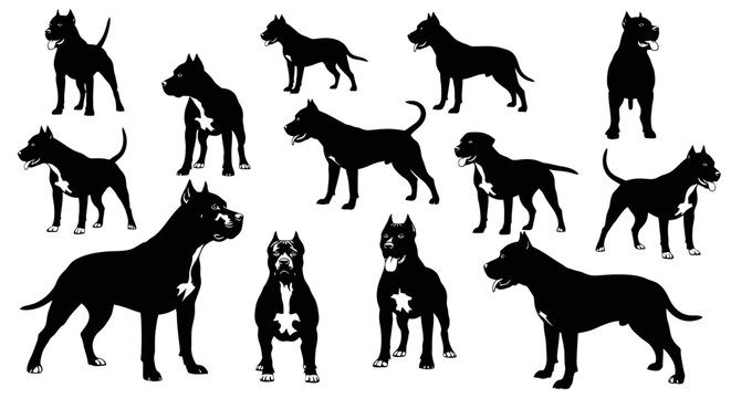 Silhouettes of Pit Bull Dogs in Various Poses.