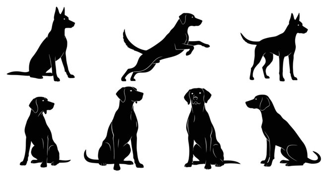 Silhouettes of various dog breeds in different poses on a white background.