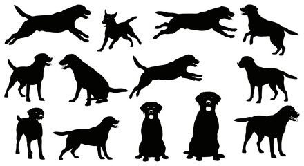 Obraz premium Silhouettes of various Labrador Retriever dogs in different poses.