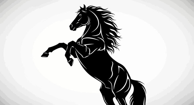 Majestic black horse rearing up on hind legs.