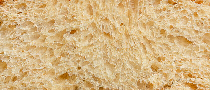 Macro texture of artisan sourdough bread crumb full frame