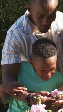 Vertical video: Wrapping arms around youth, dad helping explore pink blooms in garden, mint tee
