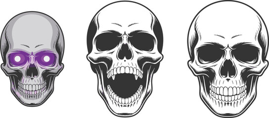 Three skull showing different eye socket colors and dental structures anatomy bone human skull eye sockets © Hey Tahera