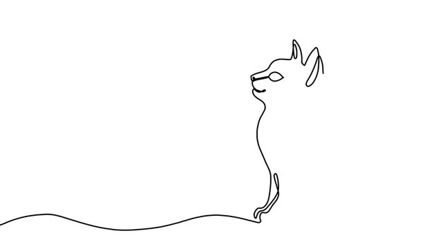 Continuous one line cat drawing art outline illustration draw paw. Cat drawing one line pet animal heart single kitten silhouette simple poster lineart footprint abstract print logo vector veterinary.