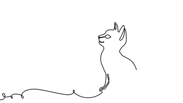 Continuous one line cat drawing art outline illustration draw paw. Cat drawing one line pet animal heart single kitten silhouette simple poster lineart footprint abstract print logo vector veterinary.