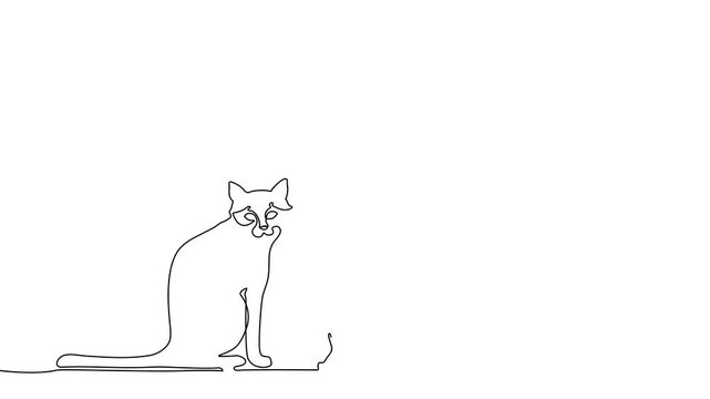 Continuous one line cat drawing art outline illustration draw paw. Cat drawing one line pet animal heart single kitten silhouette simple poster lineart footprint abstract print logo vector veterinary.