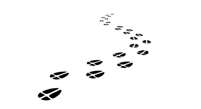 Animal Tracks in Snow Leading Away.