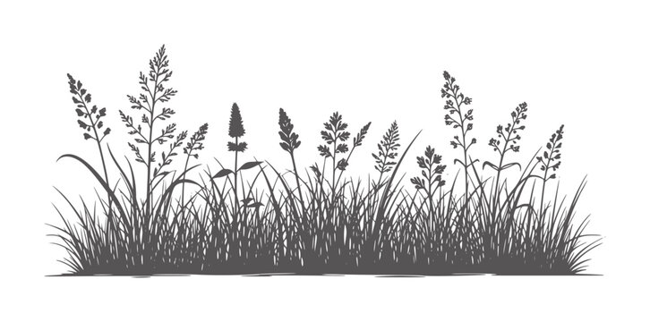 Tall wild grasses silhouette in monochrome black