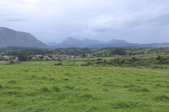 Paisaje verde