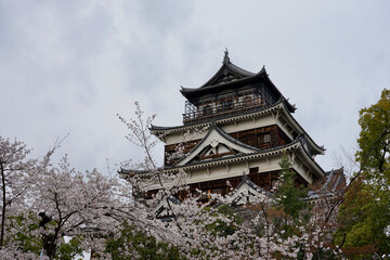 Fototapeta premium Historic Japanese Castle Tower With Cherry Blossoms And Traditional Wooden Architecture Under Overcast Spring Sky