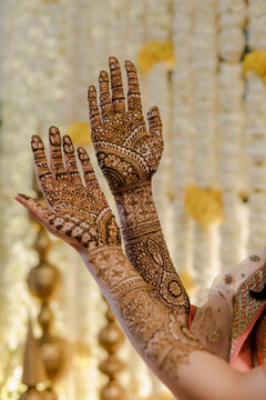 Beautiful henna tattoo art on a woman's hands and arms, showcasing intricate traditional patterns and cultural decoration for a festive occasion or celebration