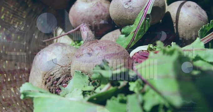 Displaying soil-dusted beetroots with twine stems and greens in basket on counter, with overlays