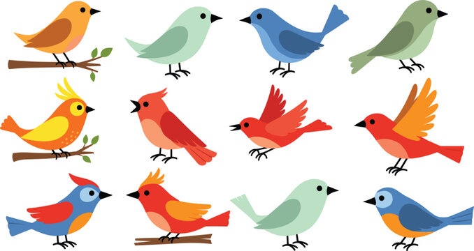 Colorful Birds Collection with Various Species, Cute Bird Illustrations on Branches for Nature, Wildlife, and Animal Designs