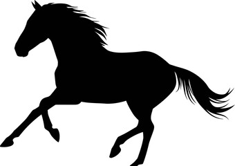 horse silhouette vector © Ali Adel Mohsen