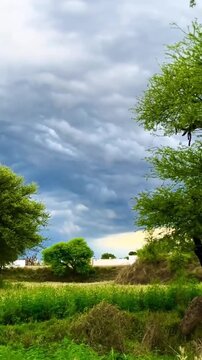 Scenic summer landscape with vibrant green fields and heavy clouds