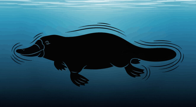 Silhouette of a platypus swimming underwater in dark blue water.