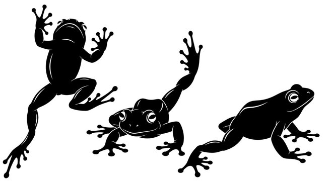 Silhouette of Three Frogs in Dynamic Poses.