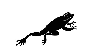 Fototapeta premium Silhouette of a Frog in Motion.