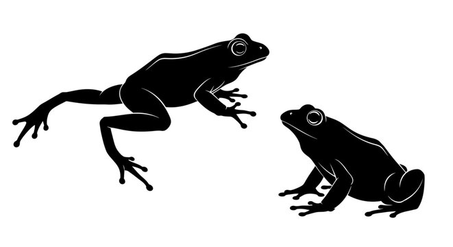 Two Black Frogs Silhouettes on White Background.