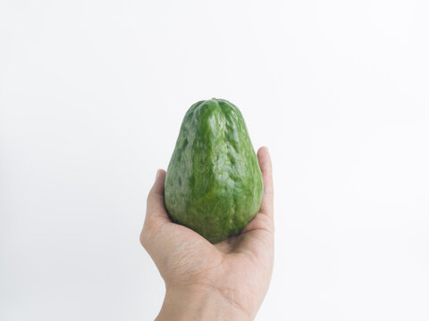 Hand holding fresh green chayote or sechium edule on white. Man palm presenting organic vegetable for healthy food ingredient.
