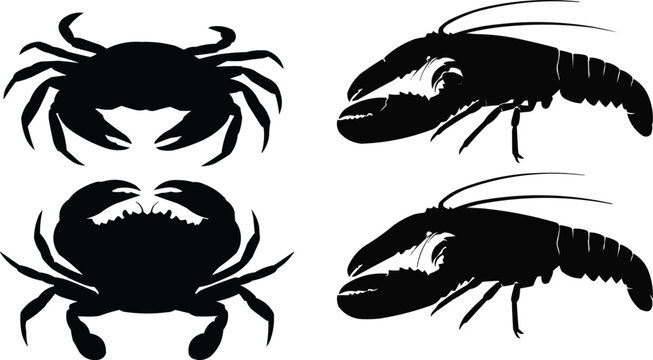 Black silhouette illustrations of two crabs and two lobsters on a white background