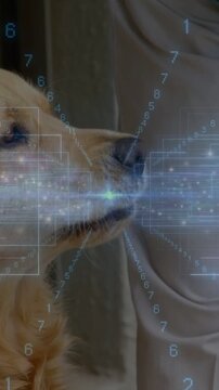 Senior woman patting golden retriever head, collar visible, curtain backdrop, overlay glowing