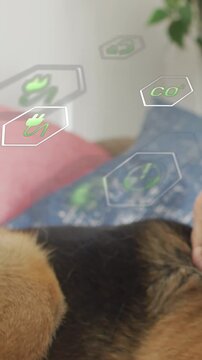 Hand entering, petting shepherd dog, turning head and pulling tongue, hexes drifting, seeking calm