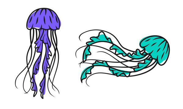 Jellyfish vector set, modern line art medusa with offset colors, aquatic marine life isolated on transparent background.