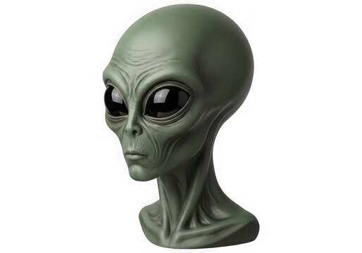 A detailed green alien head with large black eyes and textured skin features for science fiction isolated on transparent background