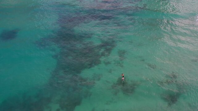 Cinematic drone follow hydrofoil surfer Waikiki