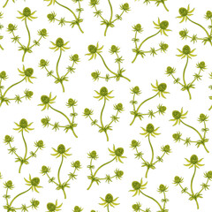 Seamless repeating floral pattern. Isolated branches of beautiful eryngium flowers on a white background. Suitable for textiles, backdrops, and paper. Vector illustration. © Liliia
