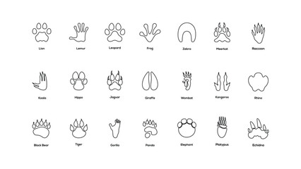 Animal Footprints Tracks Outline Icons Set Wildlife Paw Bird Hoof Print Silhouette Vector Collection © Templatesindex