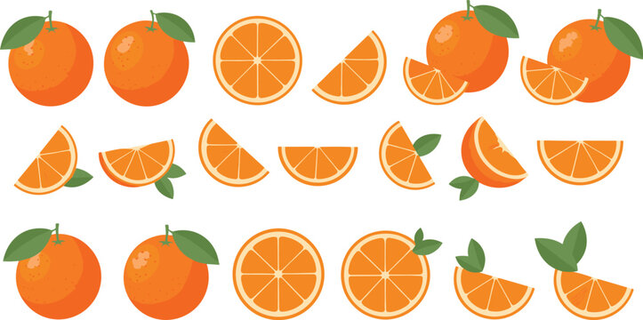 Orange fruit vector set. Collection of whole oranges, slices and wedge segments with leaves arranged in rows. Bright flat citrus illustration for food design and packaging.